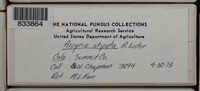 Image Associated With the Occurence